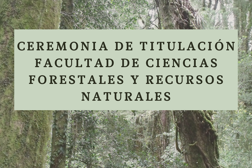 Facultad de Ciencias Forestales y Recursos Naturales realizará ...