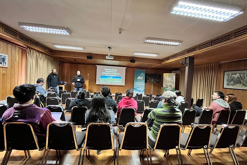 Charla expone la importancia de planta parásita nativa de Chile: el quintral