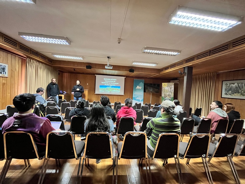 Charla expone la importancia de planta parásita nativa de Chile: el quintral