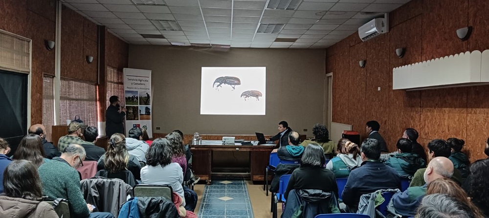 Académico UACh fue invitado a exponer en reunión de Comité Técnico de Bioseguridad en Bosque Nativo