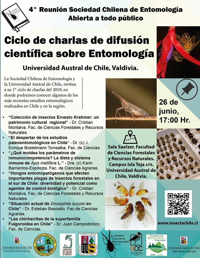 Ciclo de charlas difundirá  estudios entomológicos de Chile y la región