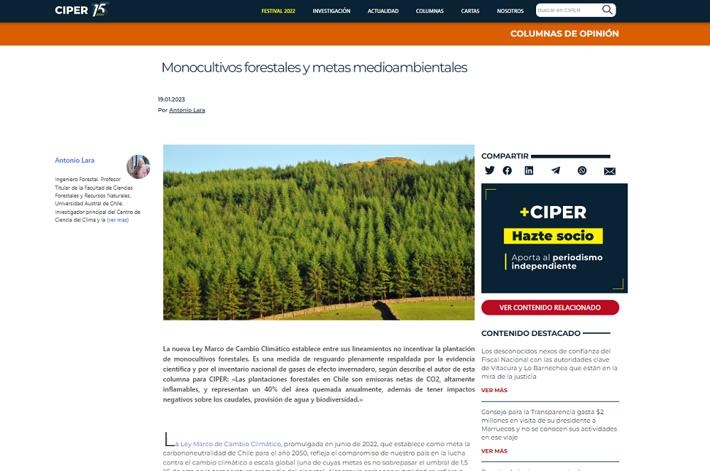 Monocultivos forestales y metas medioambientales