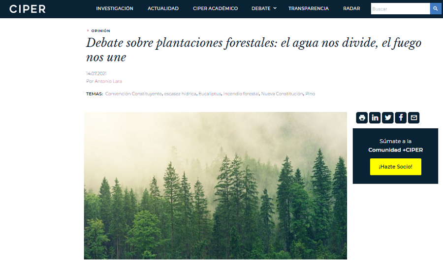 Debate sobre plantaciones forestales: el agua nos divide, el fuego nos une