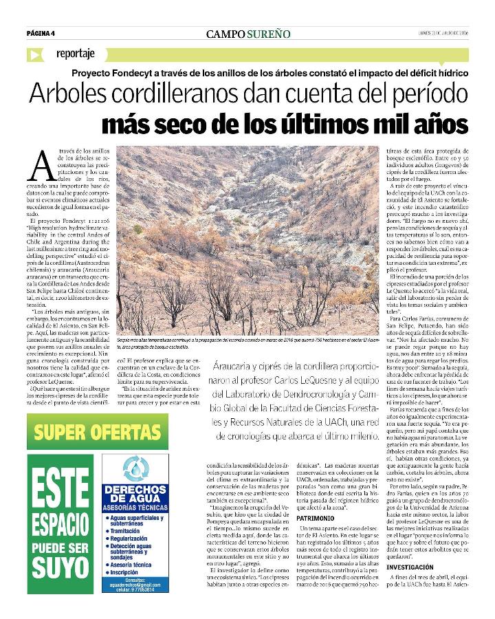 Árboles cordilleranos dan cuenta del período más secos de los últimos mil años