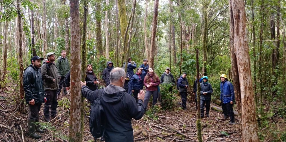 En la búsqueda de bosques más diversos y complejos: profesionales participaron de curso sobre silvicultura ecológica