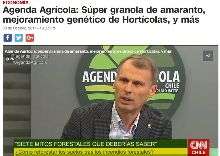 Siete mitos forestales que deberías saber