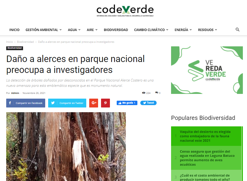 Daño a alerces en parque nacional preocupa a investigadores