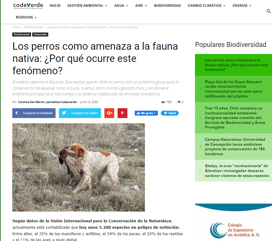 Los perros como amenaza a la fauna nativa: ¿Por qué ocurre este fenómeno?