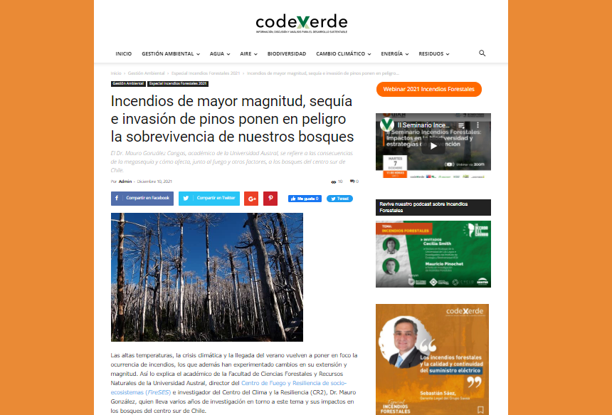 Incendios de mayor magnitud, sequía e invasión de pinos ponen en peligro la sobrevivencia de los bosques