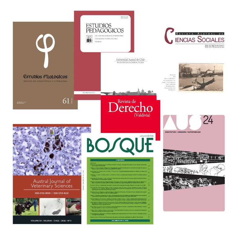 Red de Revistas de Investigación de la UACh y futuro gobierno universitario
