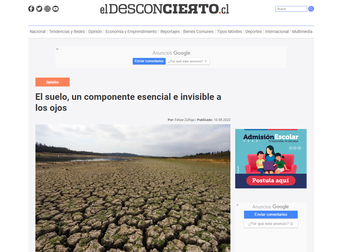 El suelo, un componente esencial e invisible a los ojos