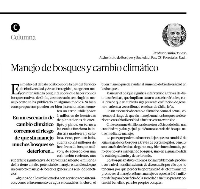 Manejo de bosques y cambio climático