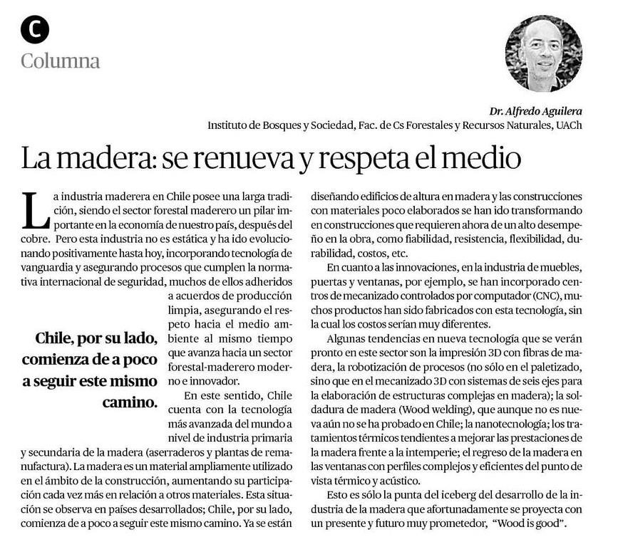 La madera se renueva y respeta el medio ambiente