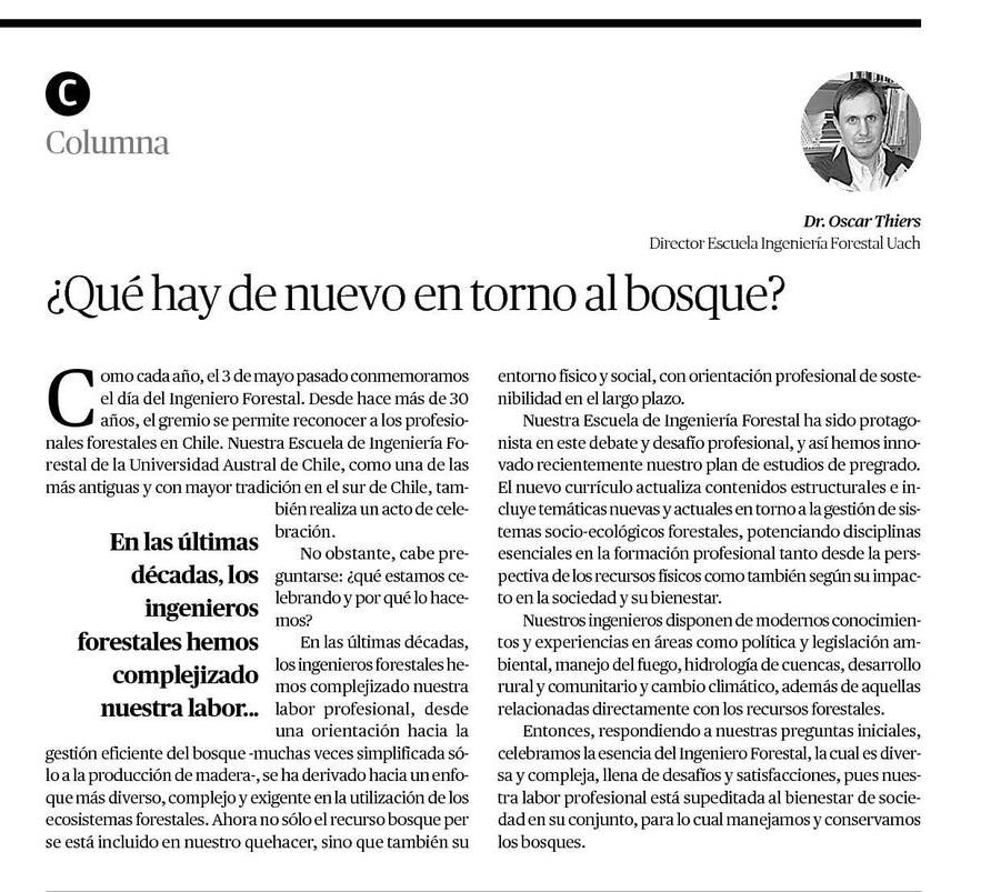 ¿Qué hay de nuevo en torno al bosque?