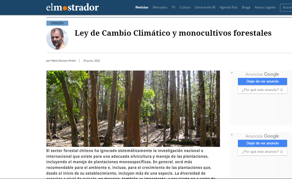 Ley de cambio climático y monocultivos forestales