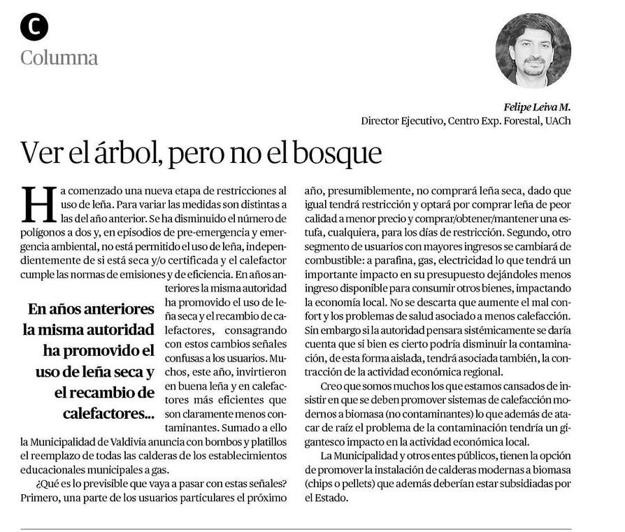 Ver el árbol y no el bosque