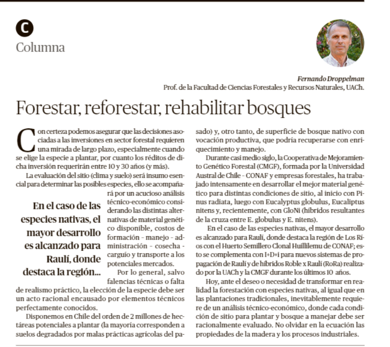 Forestar, reforestar y rehabilitar los bosques: deber de elegir la mejor opción