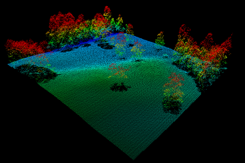 La Revolución de los Datos Tridimensionales para el Manejo y Conservación de los Recursos Forestales