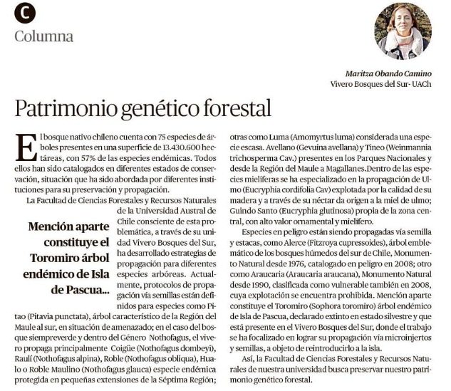 Patrimonio genético forestal