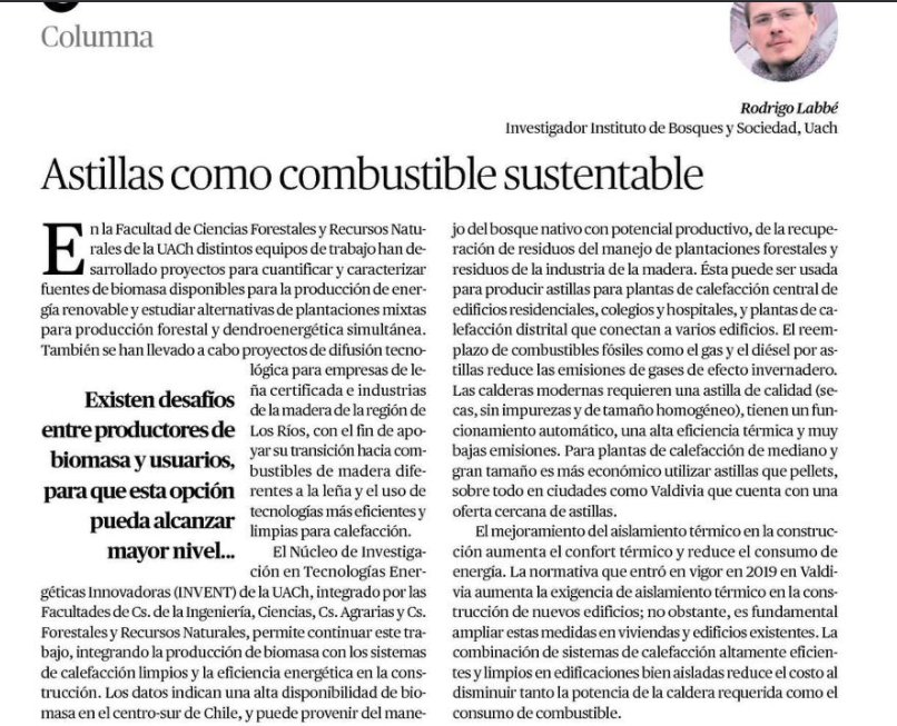 Astillas como combustible sustentable