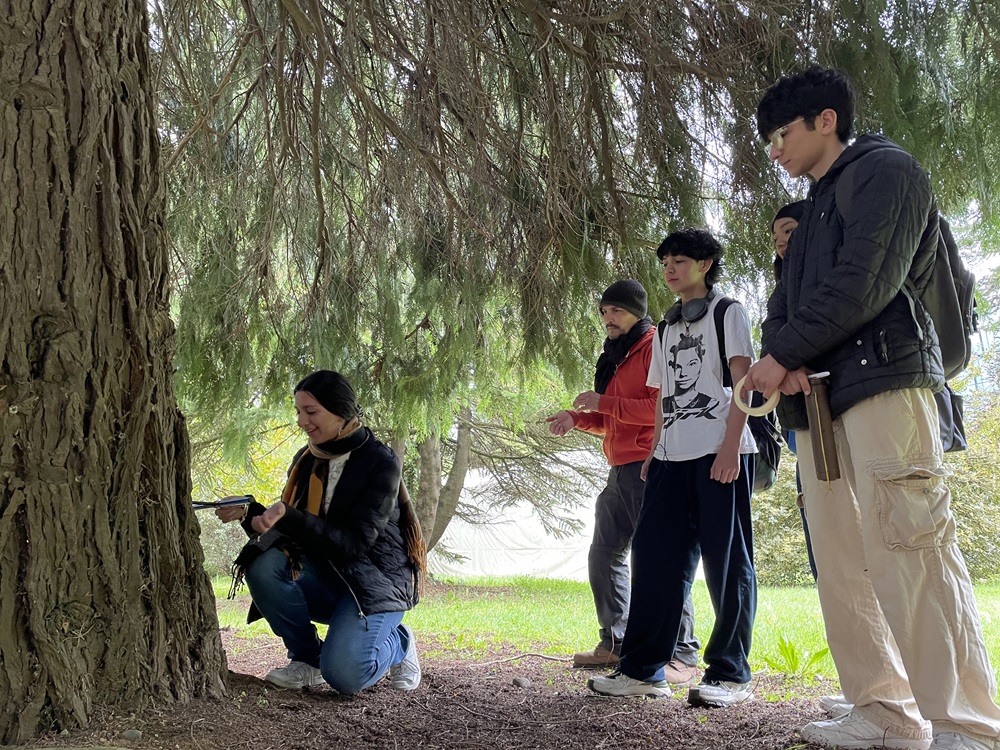 Estudiantes de Alta UACh conocen el lenguaje secreto de los árboles