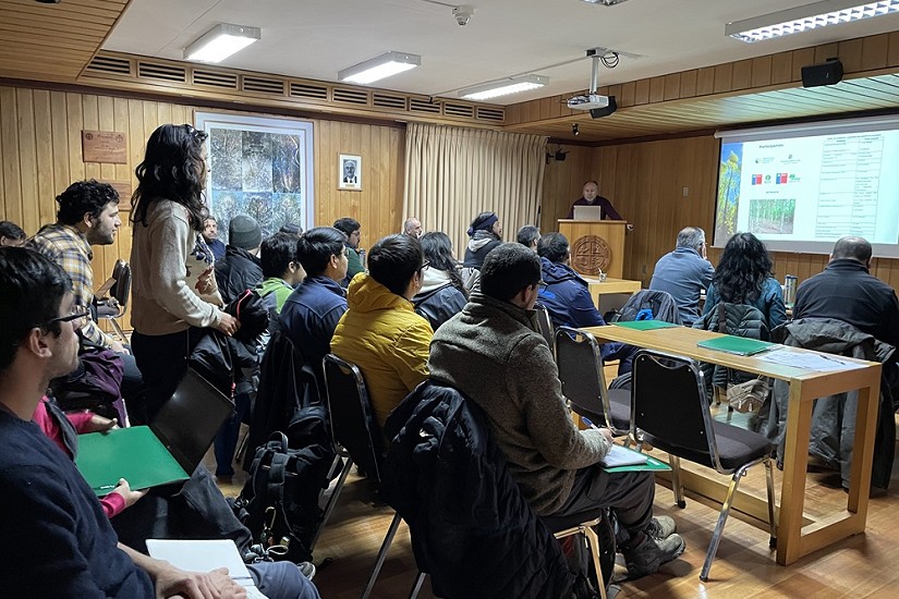 Capacitan a profesionales en plantaciones de roble y raulí para producción de madera, mitigación del cambio climático y recuperación de biodiversidad