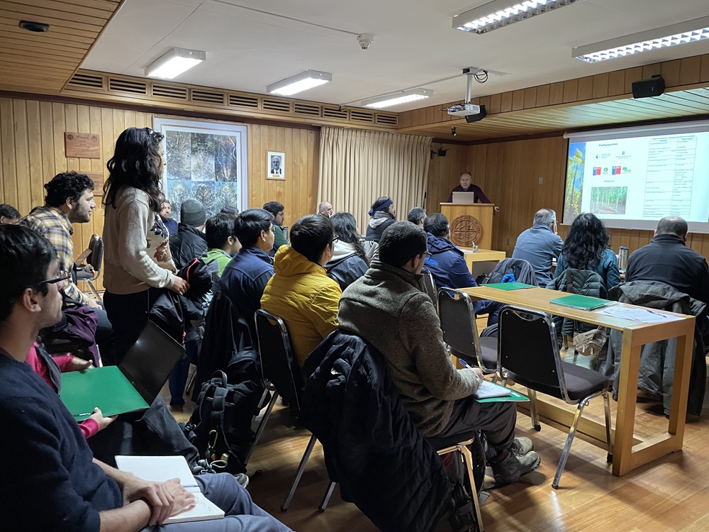 Capacitan a profesionales en plantaciones de roble y raulí para producción de madera, mitigación del cambio climático y recuperación de biodiversidad