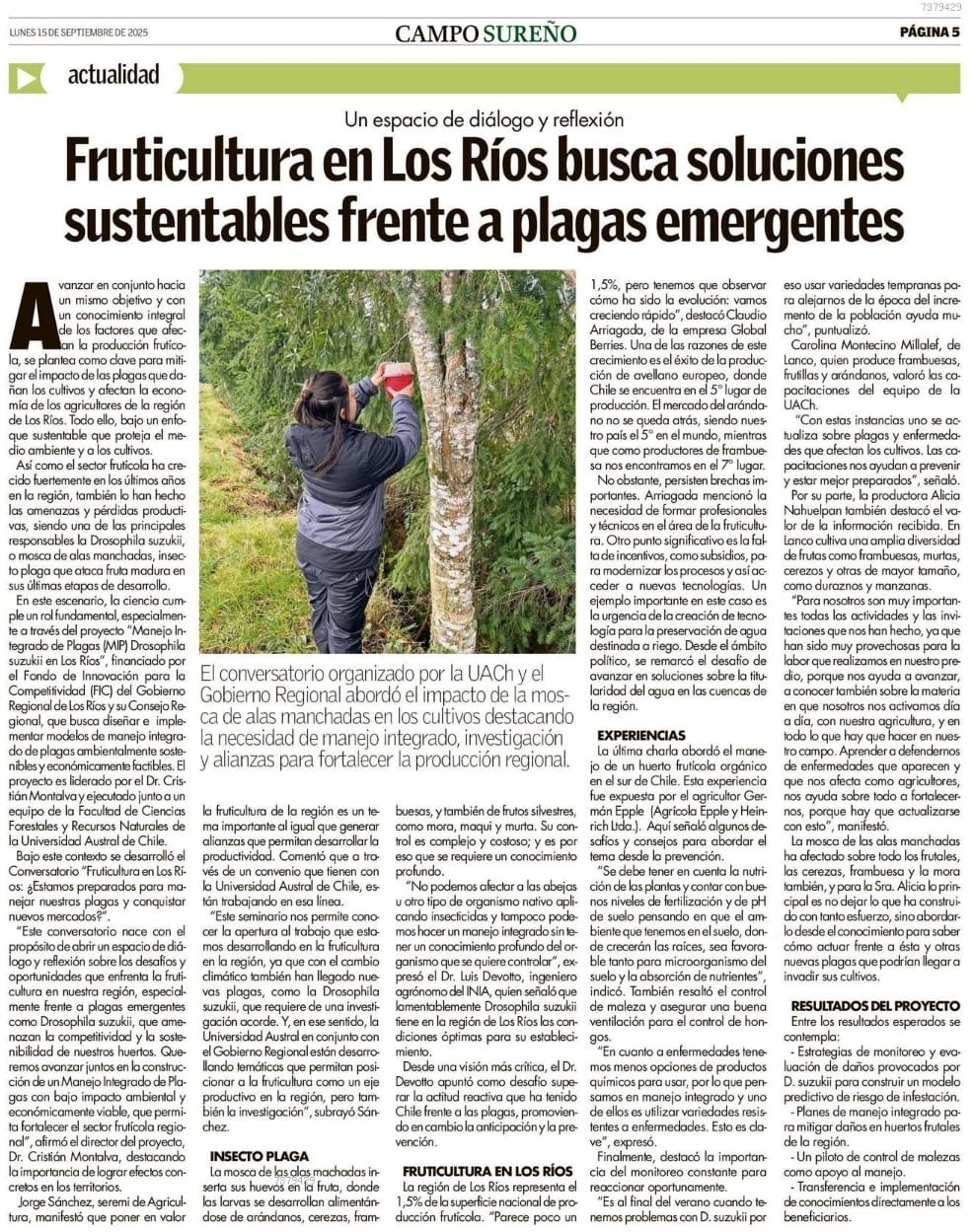 Fruticultura en Los Ríos busca soluciones sustentables frente a plagas emergentes