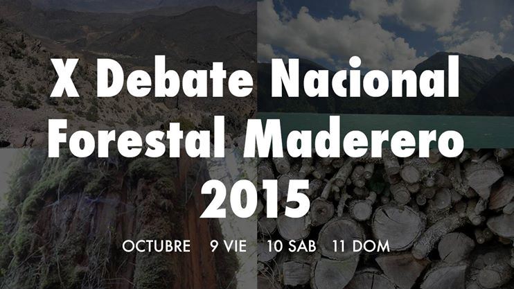 Invitan a participar del X Debate Nacional Forestal Maderero 2015