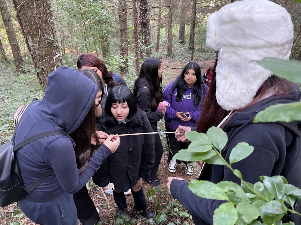 Estudiantes del Programa PACE UACh se acercan al área de la conservación y las ciencias forestales