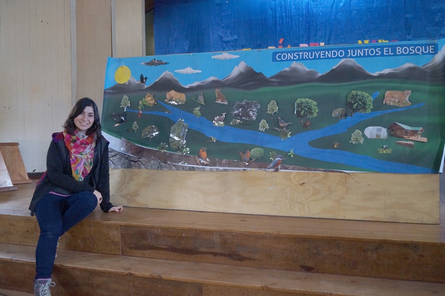 Educación ambiental, un gran desafío