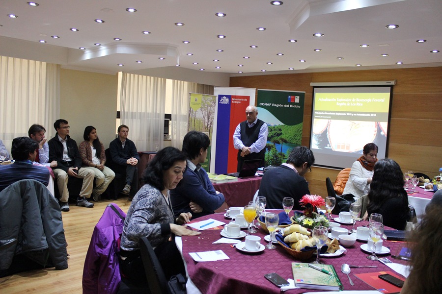 UACh organiza jornada de diálogo en torno a la biomasa como fuente de energía renovable