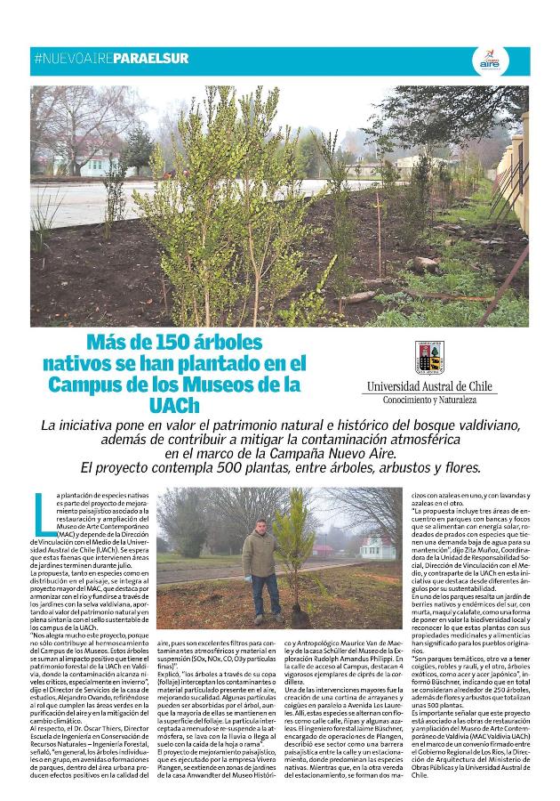 Más de 150 árboles nativos se han plantado en el Campus de los Museos de la UACh