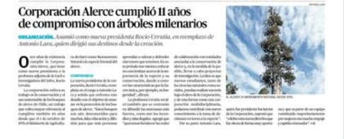 Corporación Alerce cumple 11 años de compromiso con árboles milenarios