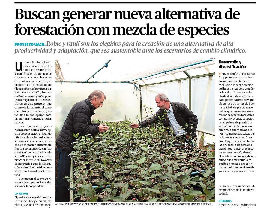 Buscan generar nueva alternativa de forestación con mezcla de especies