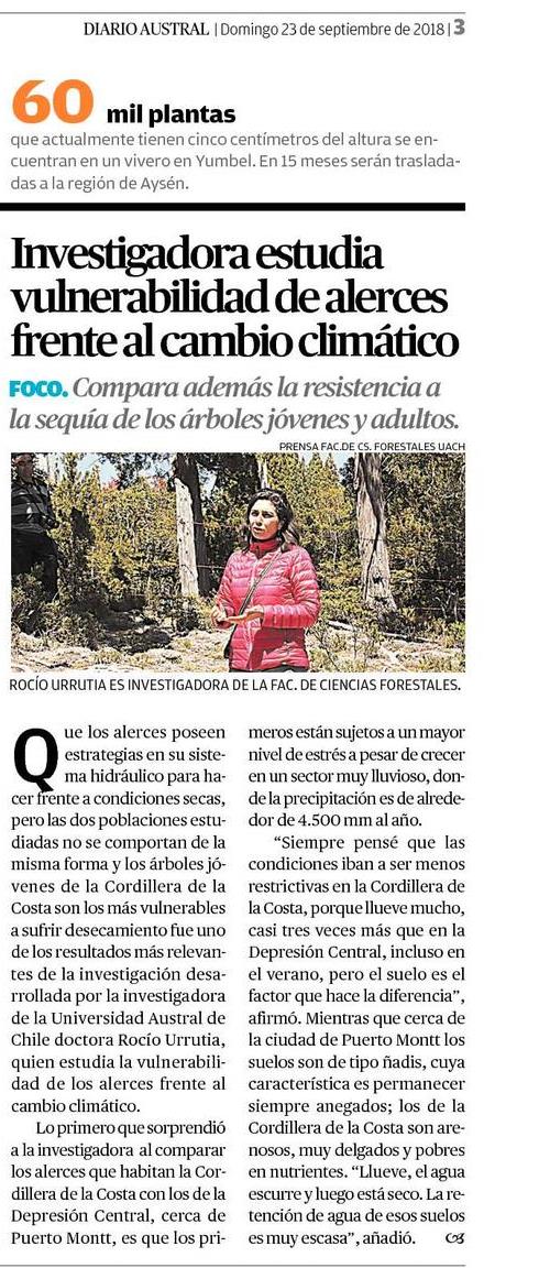 Investigadora estudia vulnerabilidad de alerces frente al cambio climático