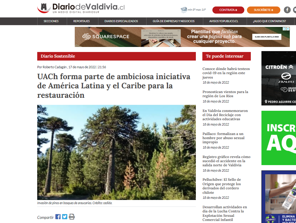 UACh forma parte de ambiciosa iniciativa de América Latina y el Caribe para restauración