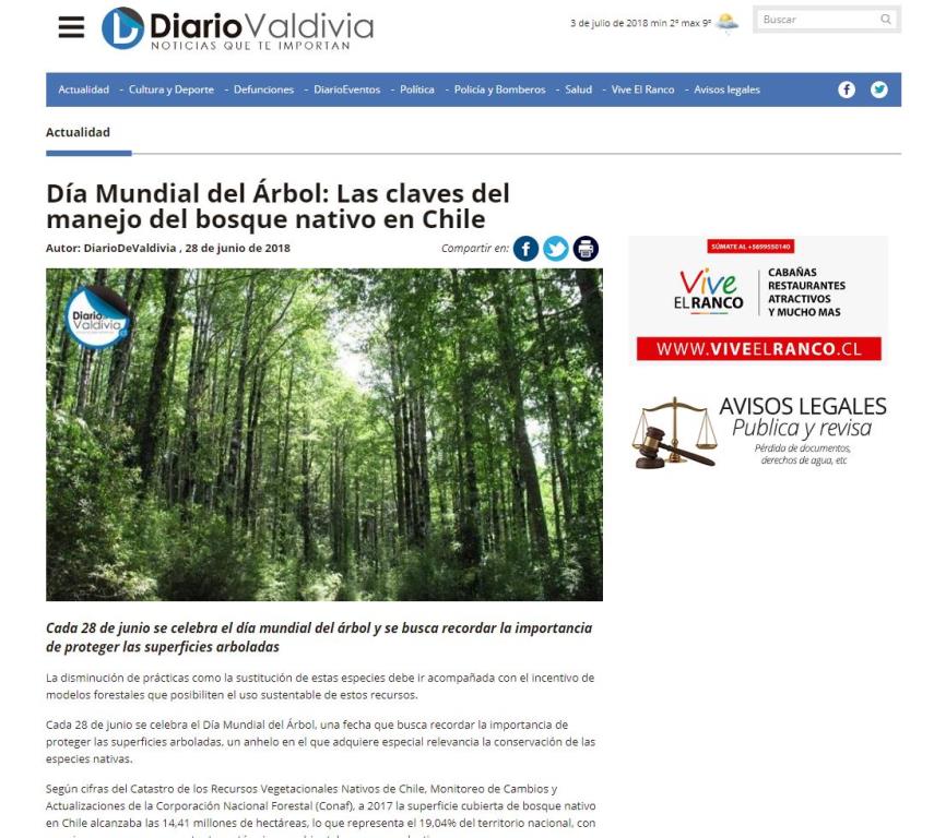 Día Mundial del Árbol: Las claves del manejo del bosque nativo en Chile