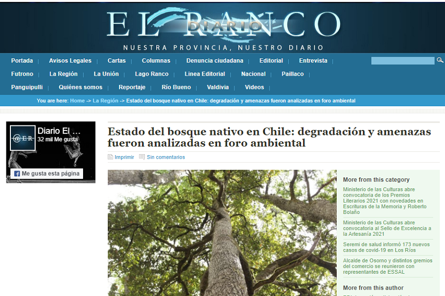 Bosque nativo en Chile: degradación y amenazas fueron analizadas en foro ambiental