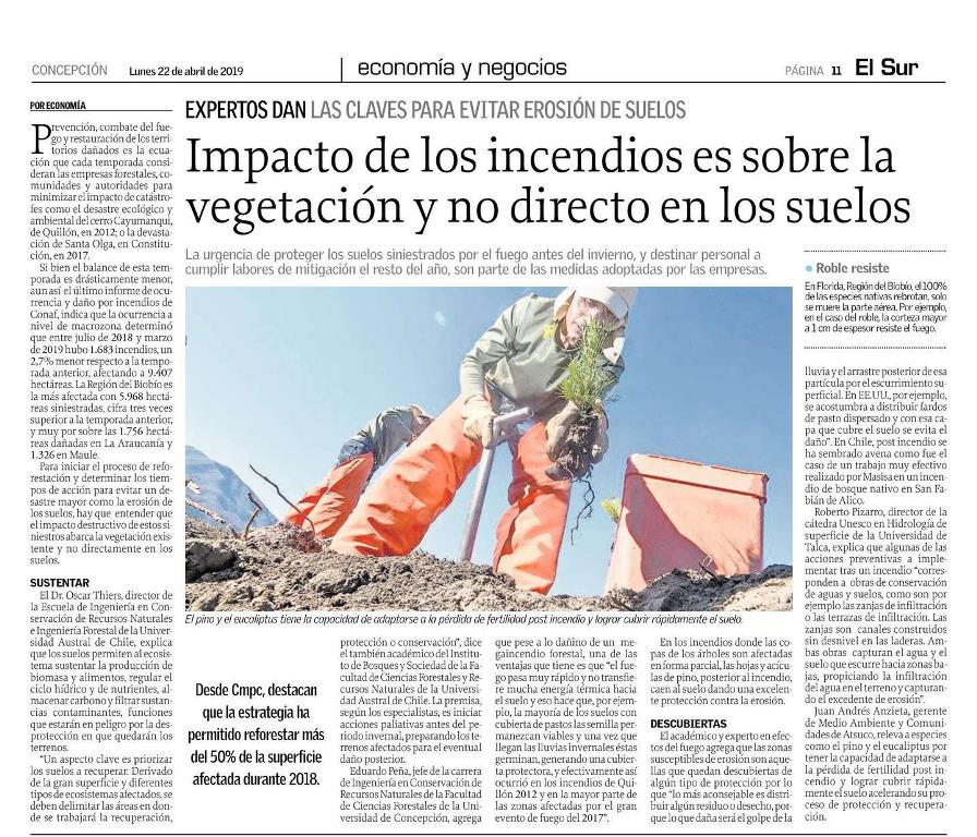Impacto de los incendios es sobre la vegetación y no directo en los suelos