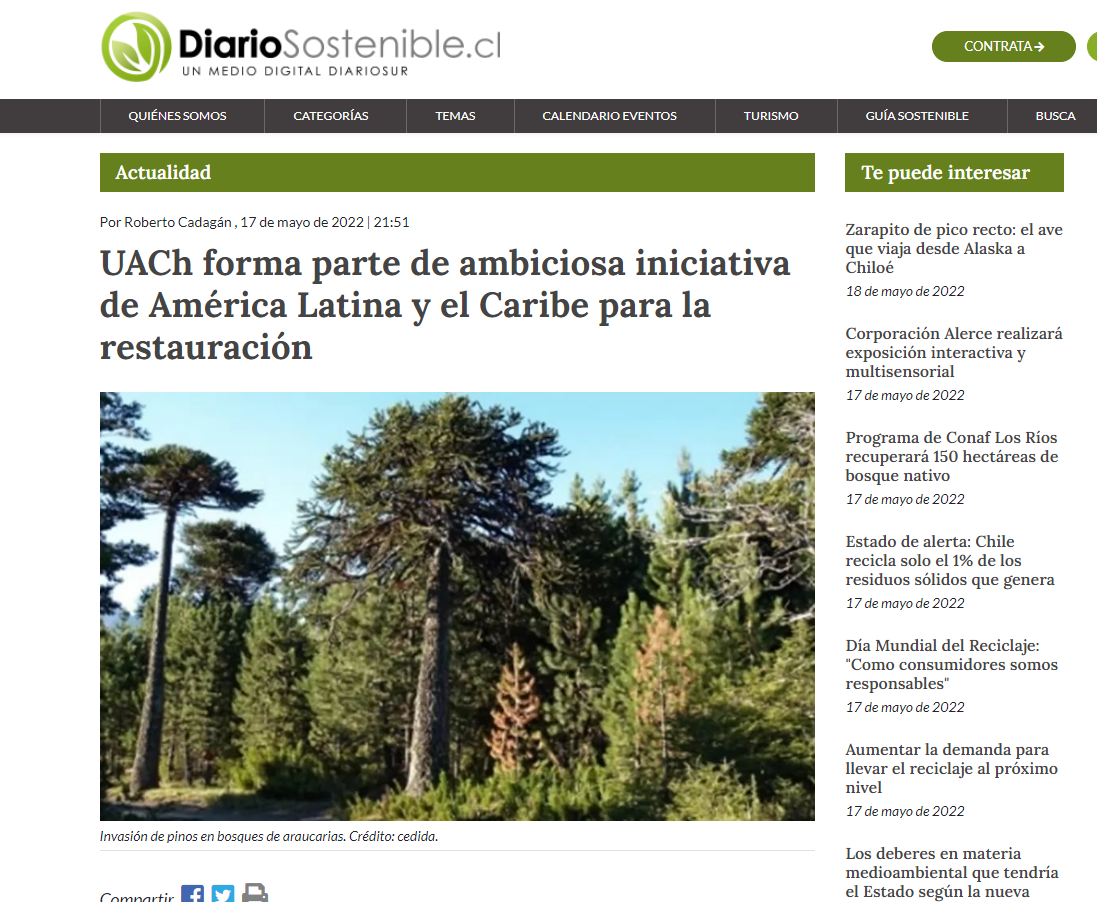 UACh forma parte de ambiciosa iniciativa de América Latina y el Caribe para la restauración de bosques