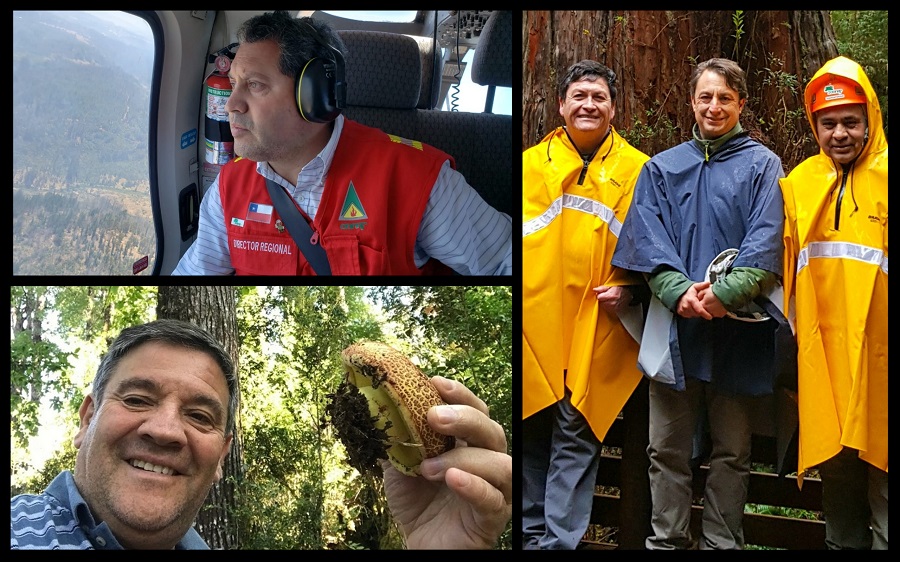 Ingenieros Forestales de la UACh destacan como Directores Regionales de CONAF