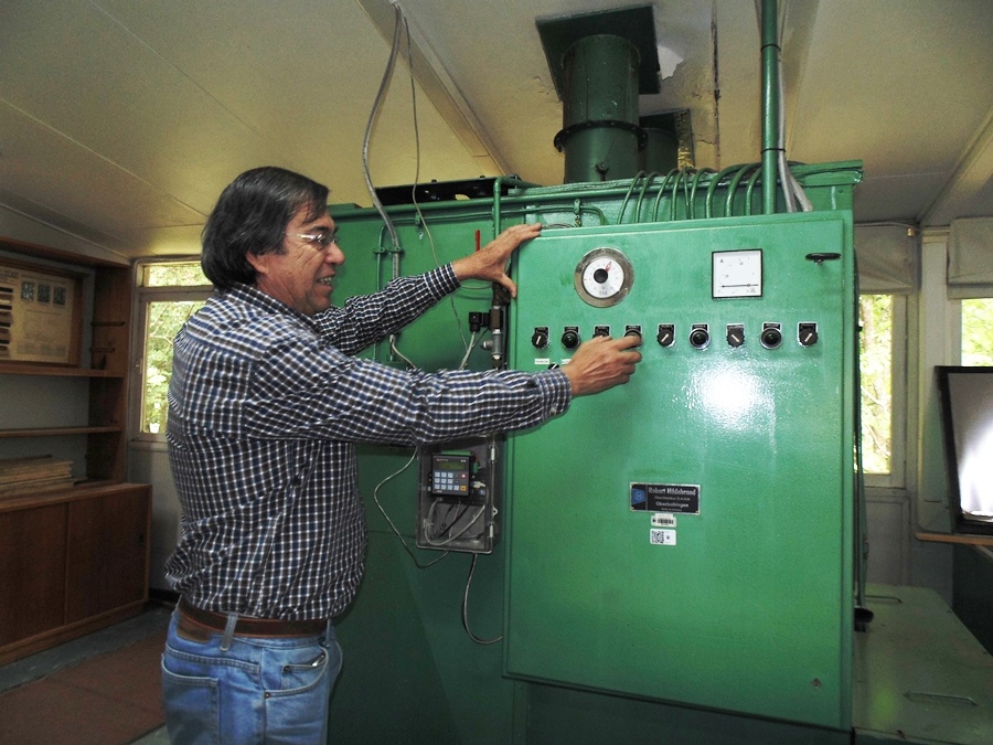 Convenio UACh – Forestal Mininco busca solucionar problemas de secado de  Eucalyptus nitens