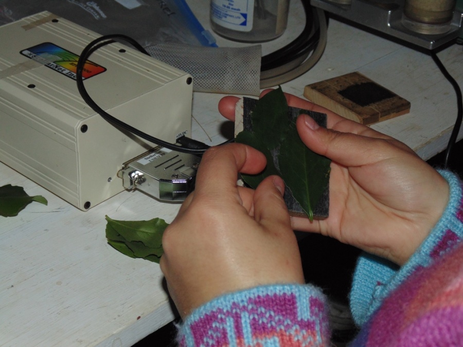 Laboratorio de Ecofisiología para la Conservación de Bosques (LECOB) abre sus puertas a Liceo de Pullinque