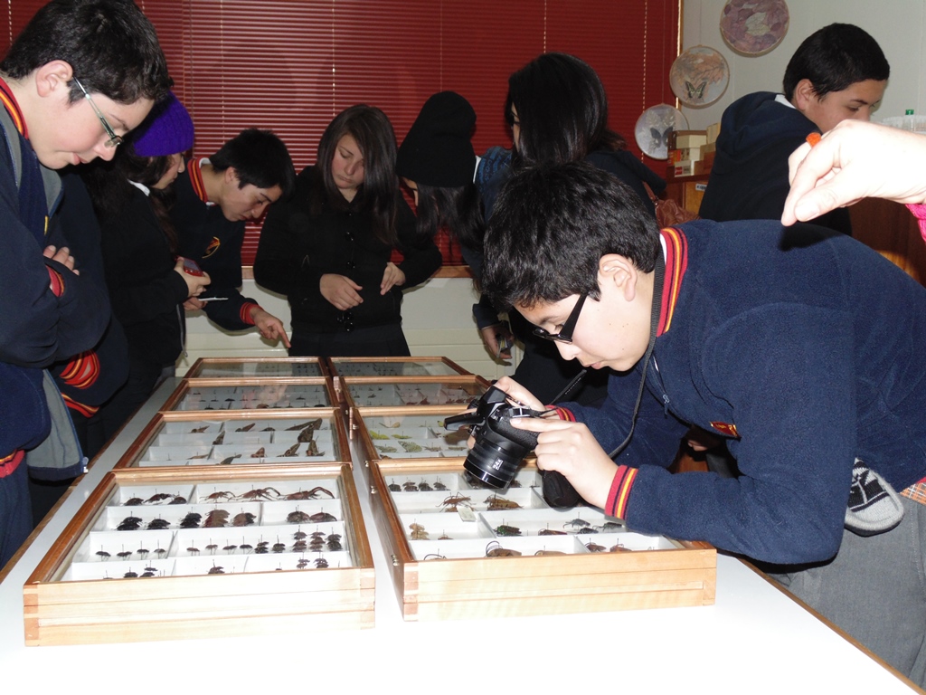 Colegio Felipe Barthou visita Colección Krahmer