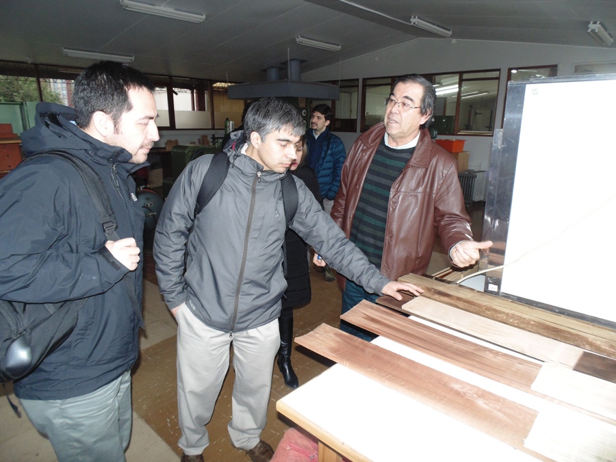 Unidad FIC del Gobierno Regional  estrecha lazos con Facultad de Ciencias Forestales y Recursos Naturales de la UACh