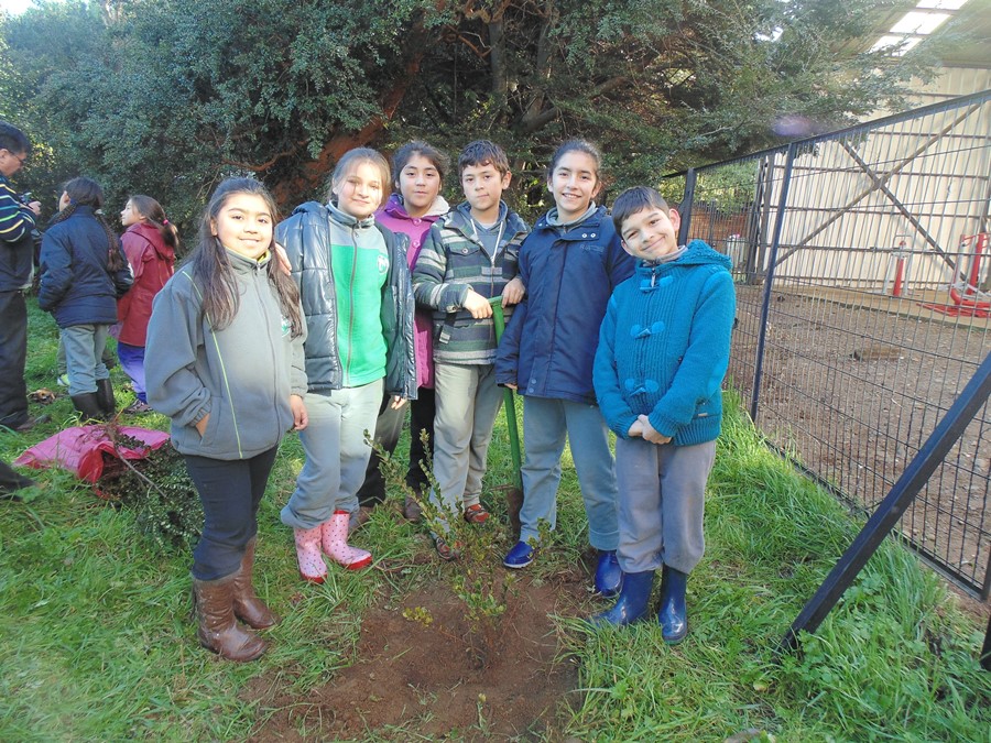 Niños de Escuela Juan Bosch plantan árboles nativos junto a estudiantes de la Facultad de Ciencias Forestales y Recursos Naturales de la UACh
