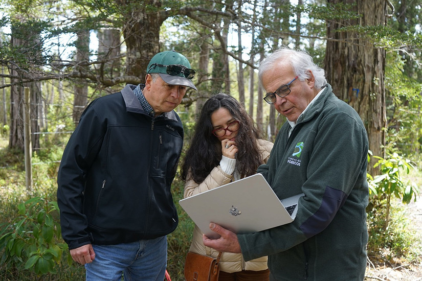 Torre de monitoreo de flujo de CO2: 11 años monitoreando los bosques del Parque Nacional Alerce Costero