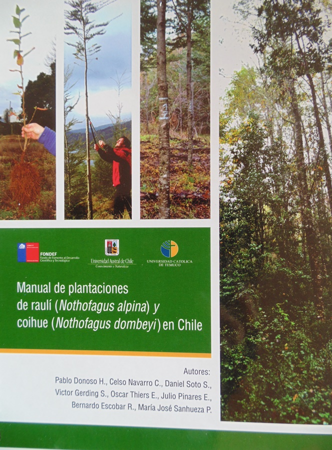 Manual de plantaciones de raulí y coihue en Chile está disponible en la UACh