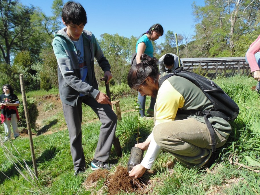 Escolares plantaron árboles en el Arboretum de la UACh